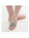 Zapatillas de Ballet